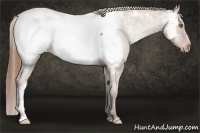 Horse Color:Brown Pearl Near Fewspot 