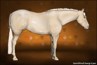 Horse Color:White Spotted Palomino Pearl 