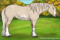 Horse Color:Red Dun Roan Splash Frame 