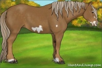 Horse Color:Chocolate Palomino Frame 