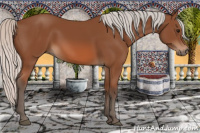 Horse Color:Silver Bay Rabicano 