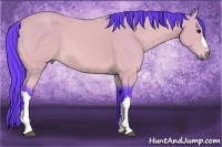 Horse Color:Watercolor Buckskin 