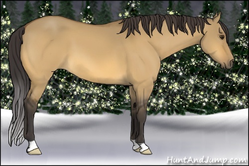 Horse Color: Buckskin Dun 