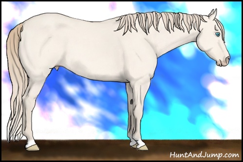 Horse Color: Perlino Dun 