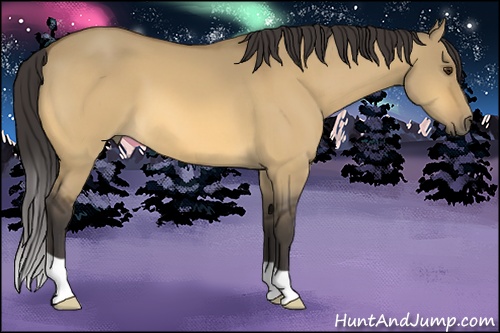 Horse Color: Buckskin Dun 