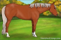 Horse Color:Silver Bay 