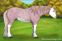 Horse Color:Watercolor Red Roan Splash Rabicano 