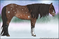 Horse Color:Bay Rabicano 