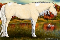 Horse Color:Gold Cream Champagne Ice Tobiano 