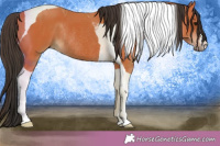 Horse Color:Bay Tobiano Rabicano 