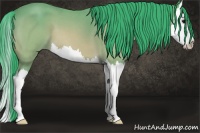 Horse Color:Watercolor Buckskin Roan Splash 