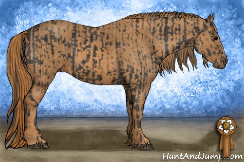 Horse Color: Brown Rabicano  Brindle
