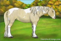 Horse Color:Watercolor Palomino Roan Splash Tobiano 
