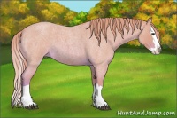 Horse Color:Watercolor Red Roan Splash 