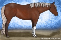 Horse Color:Silver Brown 
