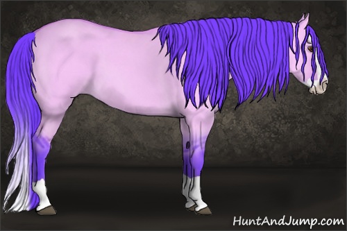 Horse Color: Watercolor Buckskin Dun Splash 