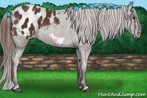 Horse Color: Liver Chestnut Frame Blanket 