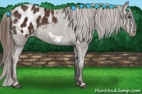 Horse Color:Liver Chestnut Frame Blanket 