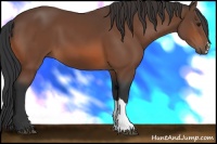 Horse Color:Brown 