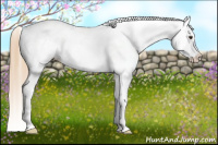Horse Color:Chestnut Blanket 
