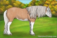 Horse Color:Silver Bay Roan Splash 