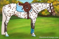Horse Color:Silver Brown Near Leopard 