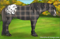 Horse Color:Plaid  Brown Blanket 