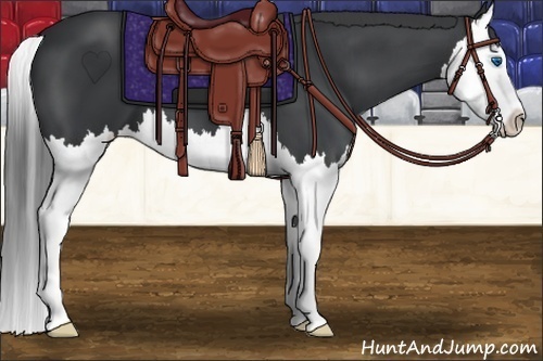 Horse Color: Black Splash 