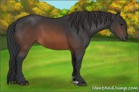 Horse Color:Brown 