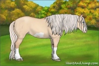 Horse Color:Silver Amber Champagne Dun Splash Frame 
