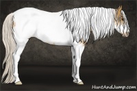 Horse Color:Silver Buckskin Tobiano Frame 