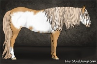 Horse Color:Palomino Frame 
