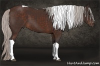 Horse Color:Silver Brown Tobiano 