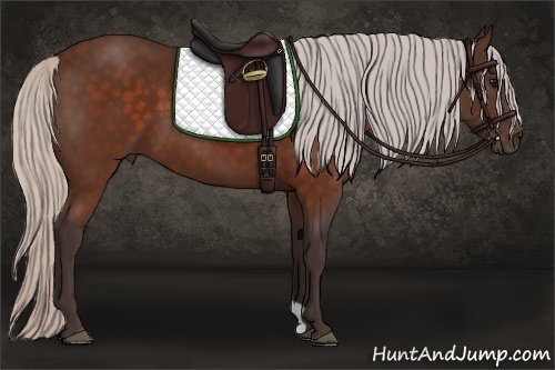 Horse Color: Silver Brown 