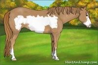 Horse Color:Chestnut Frame 