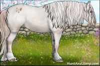 Horse Color:Chestnut Blanket 