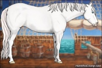 Horse Color:Perlino 