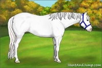 Horse Color:Silver Bay Roan Dun Sabino Blanket 