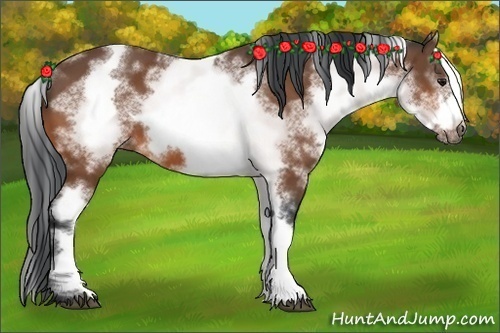 Horse Color: White Spotted Bay Frame 