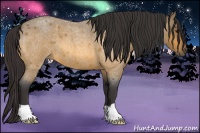 Horse Color:Buckskin Roan 