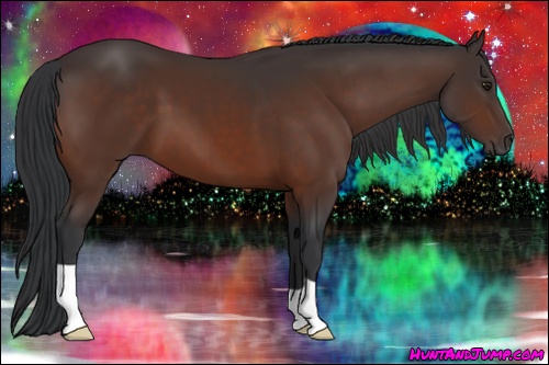 Horse Color: Brown 