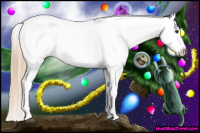 Horse Color:Chestnut Appaloosa