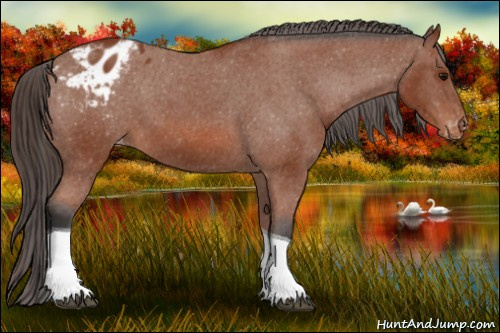 Horse Color: Bay Tobiano Blanket 
