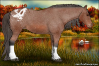 Horse Color:Bay Tobiano Blanket 