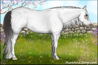 Horse Color:White Spotted Brown Frame