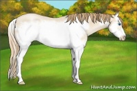 Horse Color:Smoky Blue Roan Pearl Splash Frame 