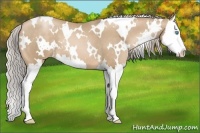 Horse Color:White Spotted Chocolate Palomino Pearl Splash 