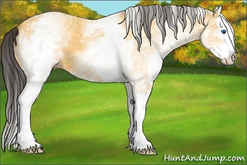 Horse Color:White Spotted Buckskin Splash 