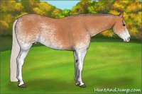 Horse Color:White Spotted Silver Bay 
