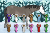 Horse Color:Black Sabino Splash